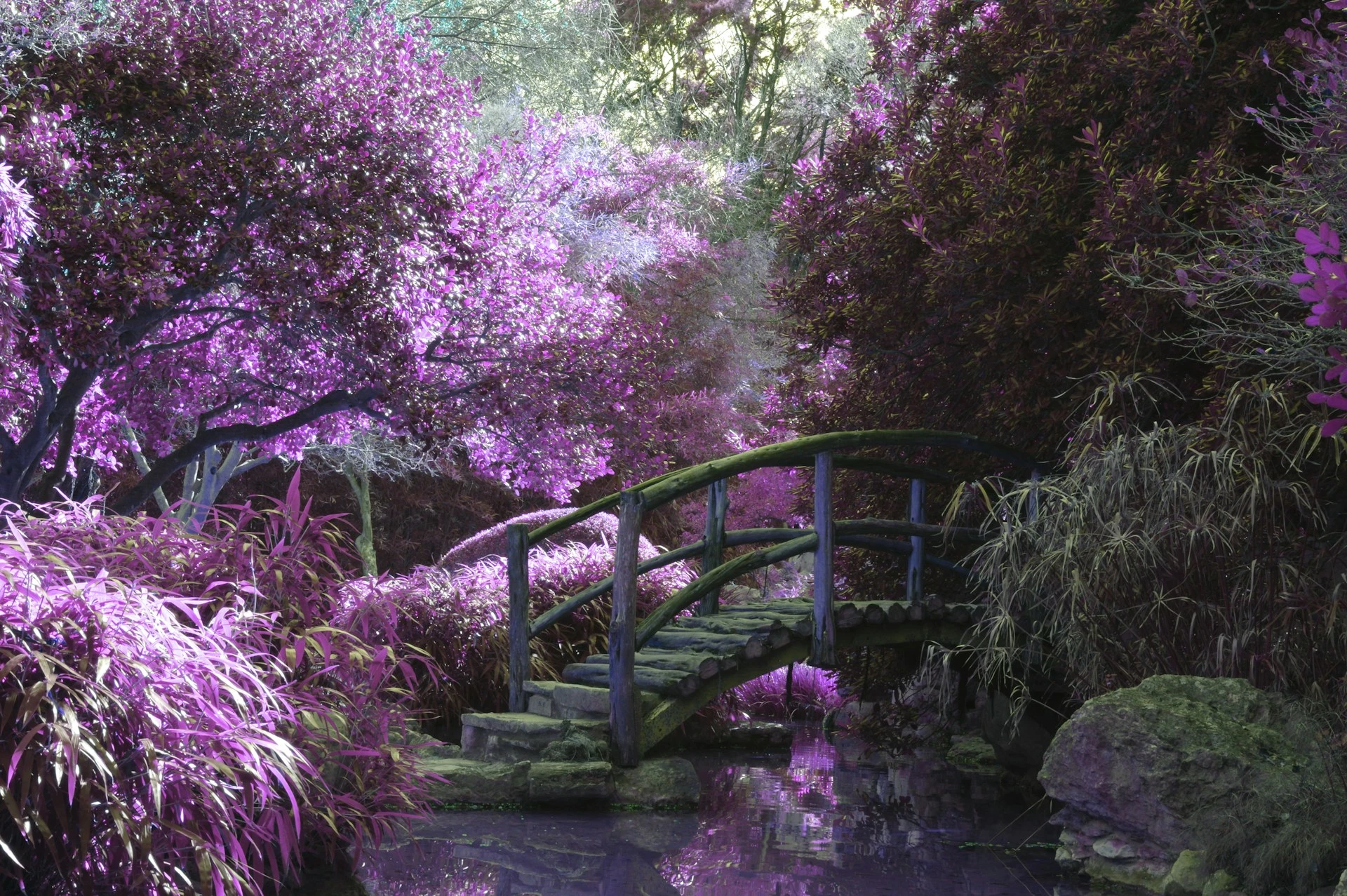 bg2.webp