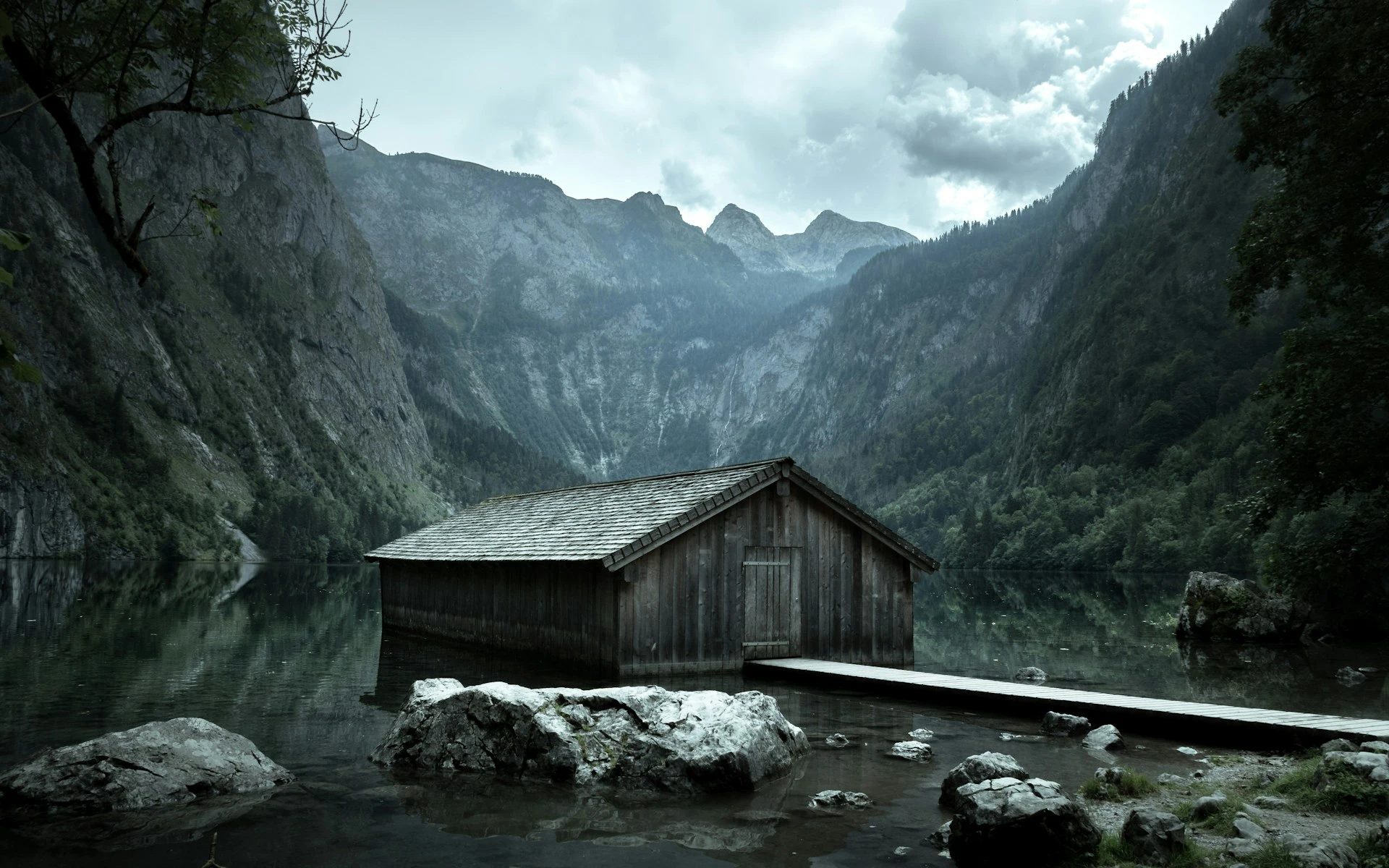 bg5.webp